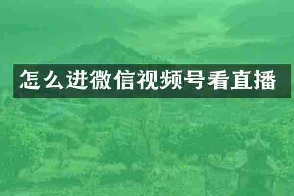 怎么进微信视频号看直播