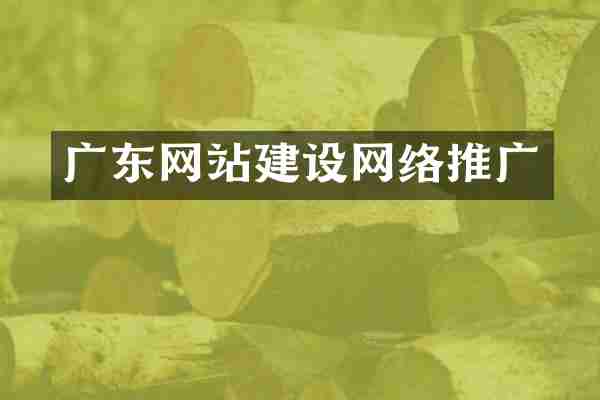 广东网站建设网络推广
