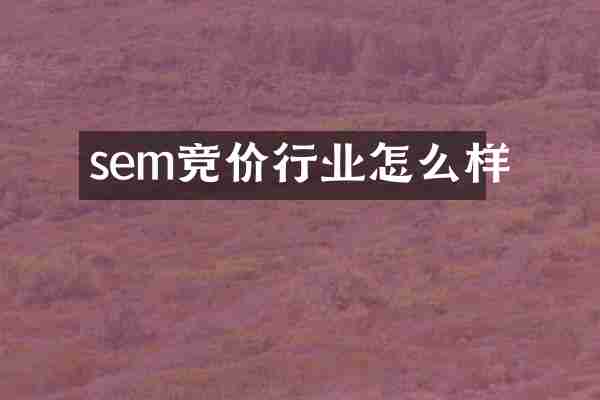 sem竞价行业怎么样