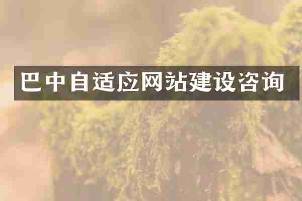 巴中自适应网站建设咨询
