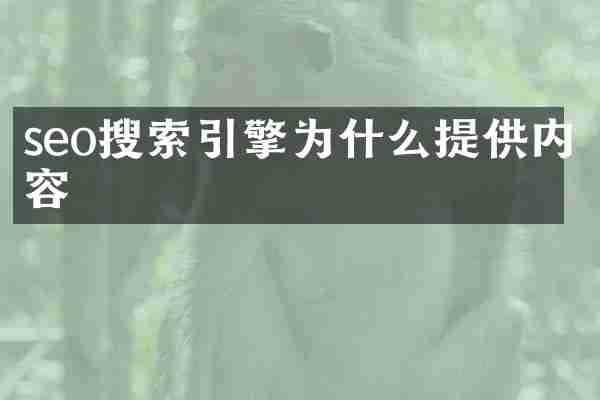 seo搜索引擎为什么提供内容