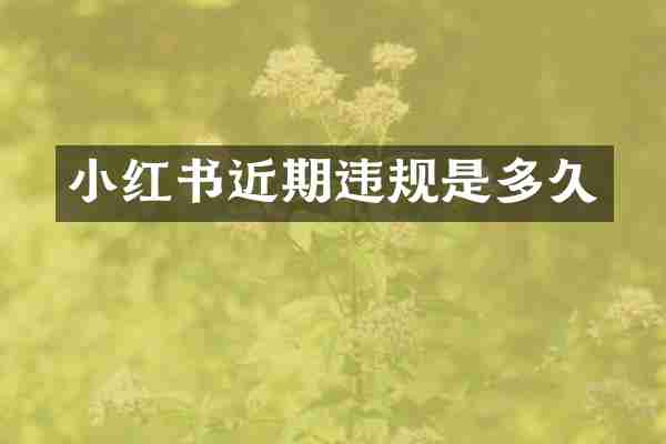 小红书近期违规是多久