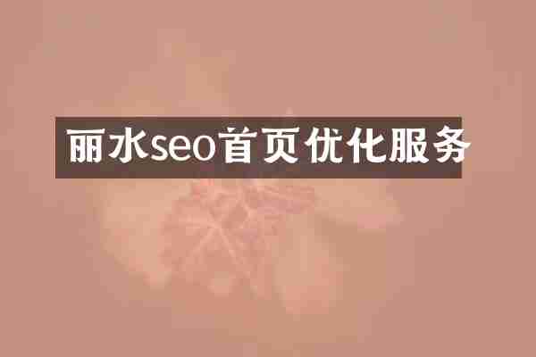 丽水seo首页优化服务