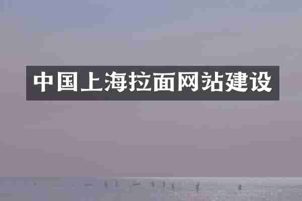 中国上海拉面网站建设
