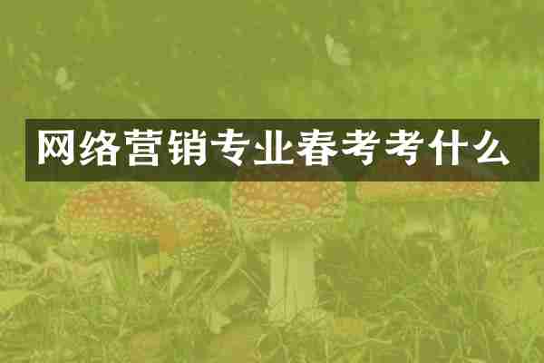 网络营销专业春考考什么