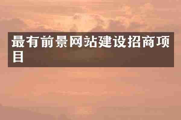 最有前景网站建设招商项目