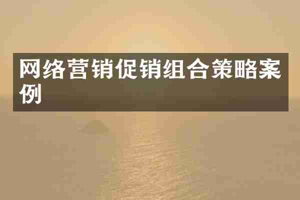 网络营销促销组合策略案例