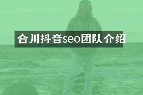 合川抖音seo团队介绍