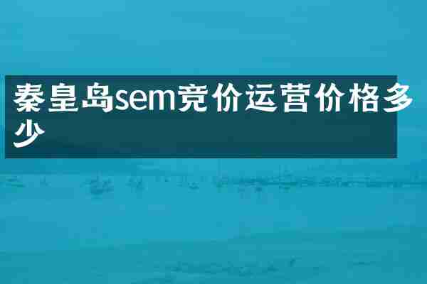 秦皇岛sem竞价运营价格多少