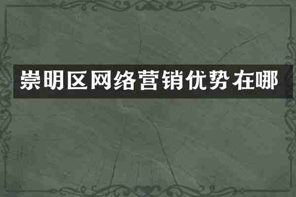崇明区网络营销优势在哪