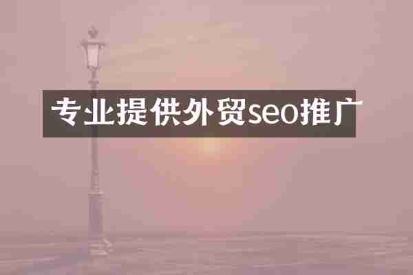 专业提供外贸seo推广