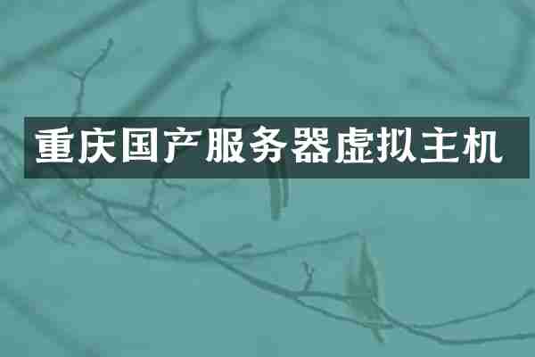 重庆国产服务器虚拟主机