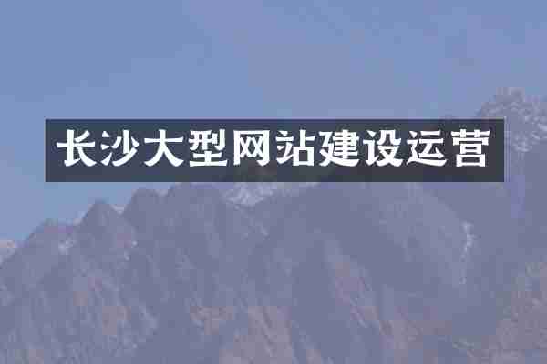 长沙大型网站建设运营