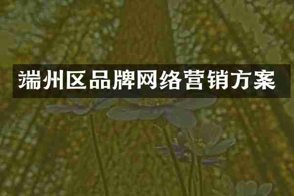 端州区品牌网络营销方案
