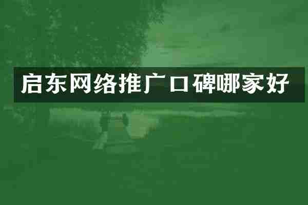 启东网络推广口碑哪家好