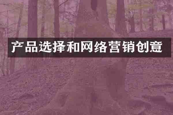 产品选择和网络营销创意