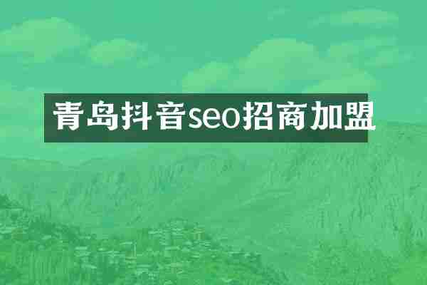 青岛抖音seo招商加盟
