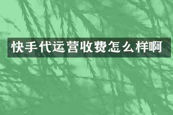 快手代运营收费怎么样啊