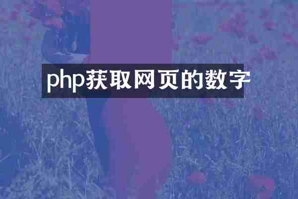 php获取网页的数字