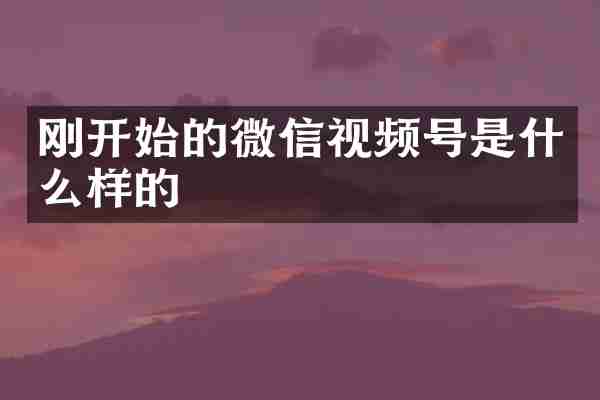 刚开始的微信视频号是什么样的