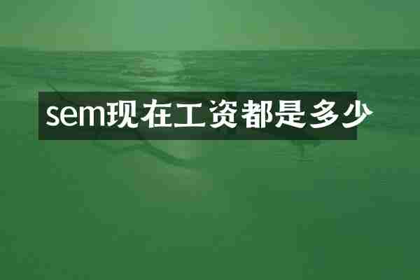 sem现在工资都是多少