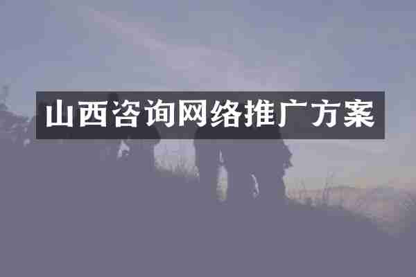 山西咨询网络推广方案