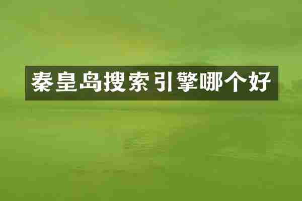 秦皇岛搜索引擎哪个好