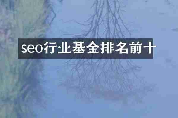 seo行业基金排名前十