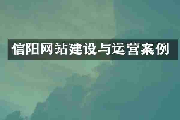 信阳网站建设与运营案例