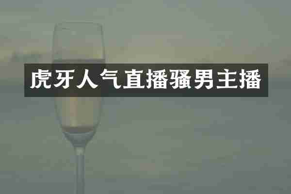 虎牙人气直播骚男主播