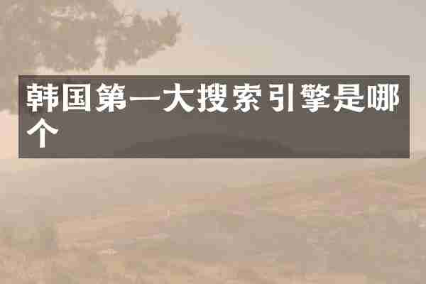 韩国第一大搜索引擎是哪个