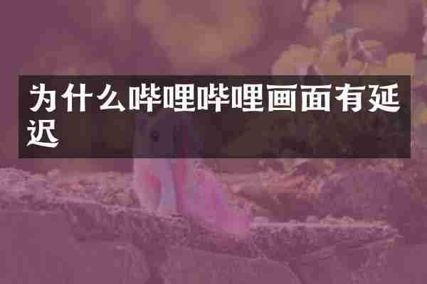 为什么哔哩哔哩画面有延迟
