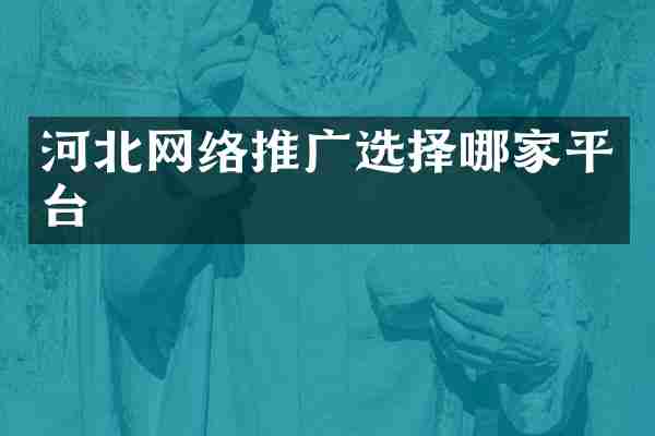 河北网络推广选择哪家平台