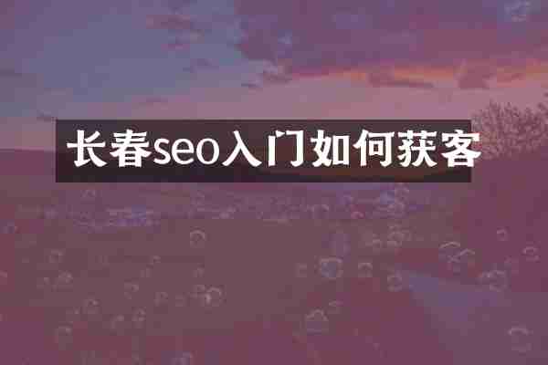 长春seo入门如何获客