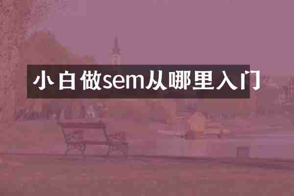 小白做sem从哪里入门