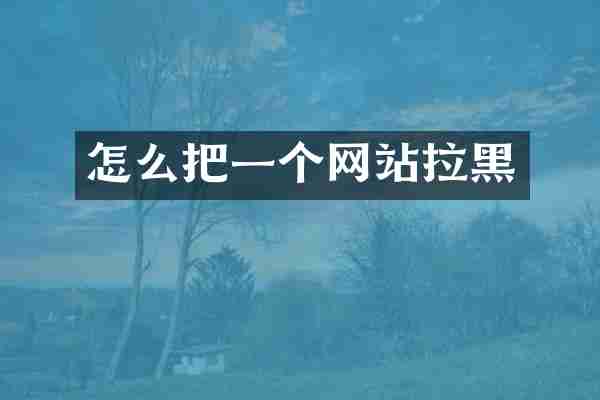 怎么把一个网站拉黑