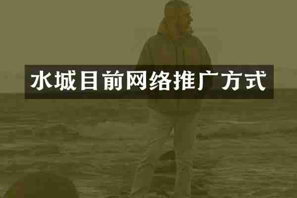 水城目前网络推广方式