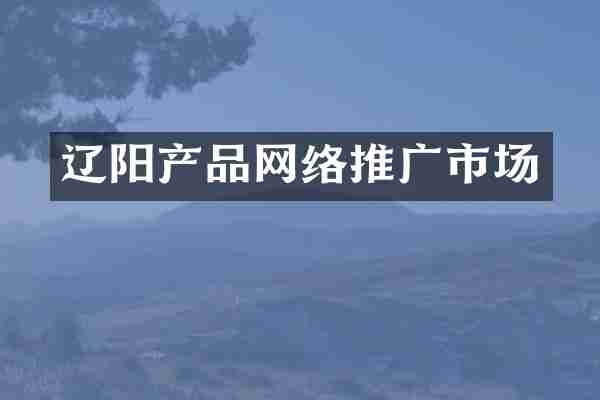 辽阳产品网络推广市场