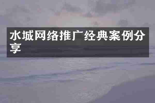 水城网络推广经典案例分享