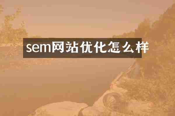 sem网站优化怎么样