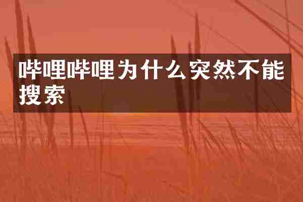 哔哩哔哩为什么突然不能搜索