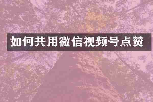 如何共用微信视频号点赞