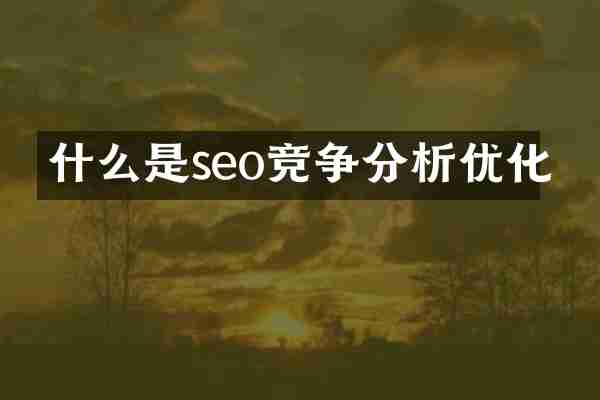 什么是seo竞争分析优化