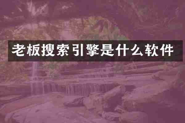 老板搜索引擎是什么软件