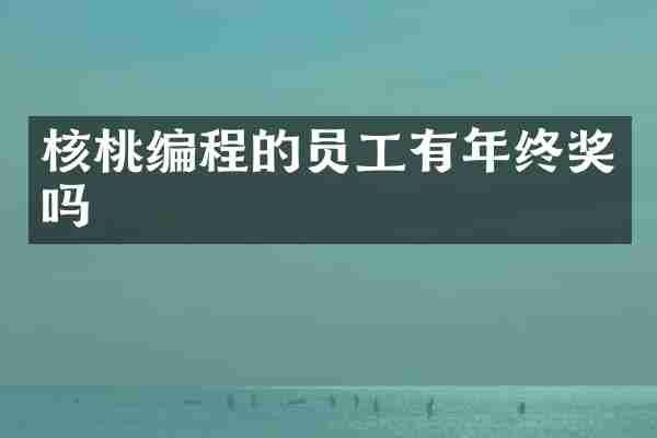 核桃编程的员工有年终奖吗