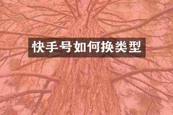快手号如何换类型