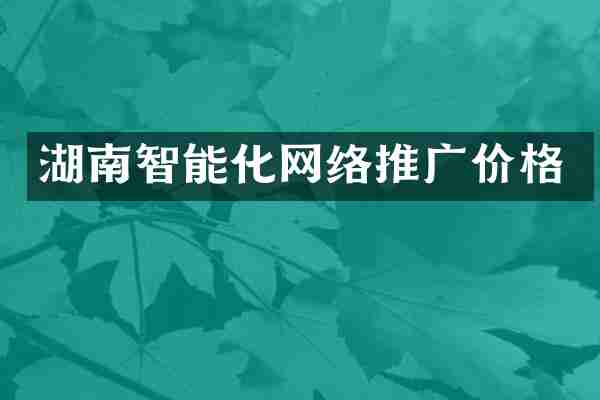 湖南智能化网络推广价格