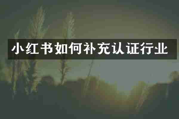 小红书如何补充认证行业