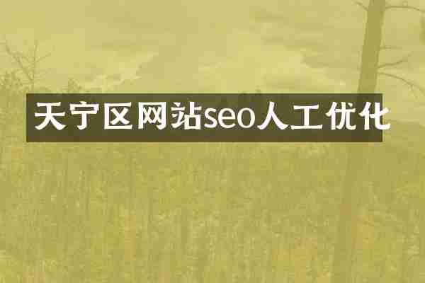 天宁区网站seo人工优化