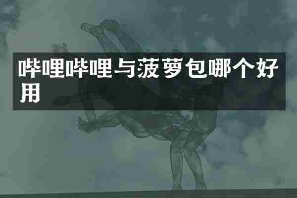哔哩哔哩与菠萝包哪个好用
